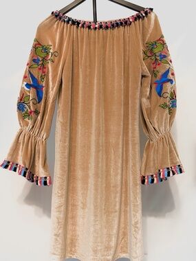 Velzera Beige Velvet One-Shoulder Dress with Multicolor Embroidered Sleeves